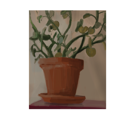 Florida plant